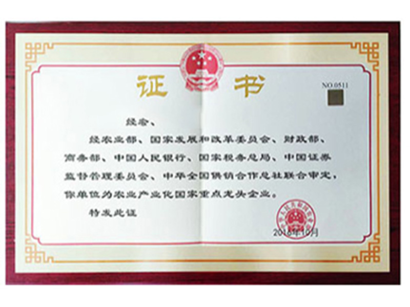 证书名称_副本